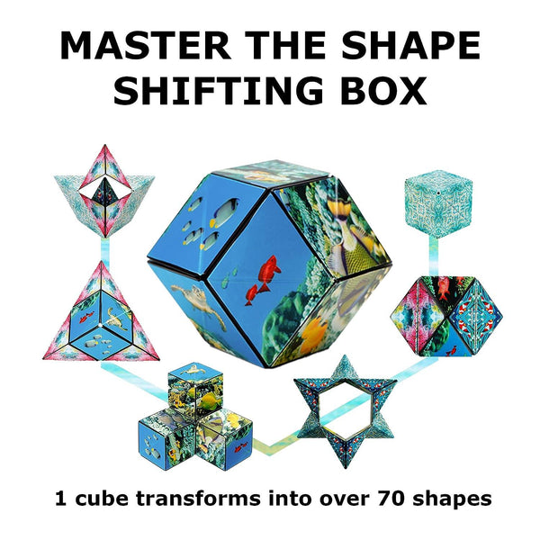 Creative puzzle toy for kids and adults - MagnoShift